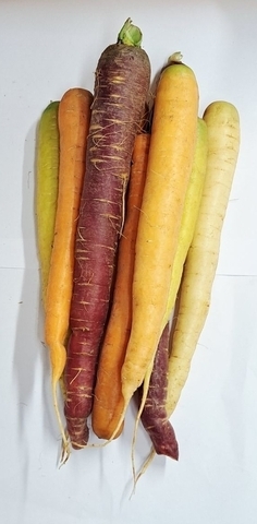 Carrot Rainbow (LOCAL)